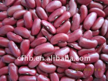 British red kidney beans