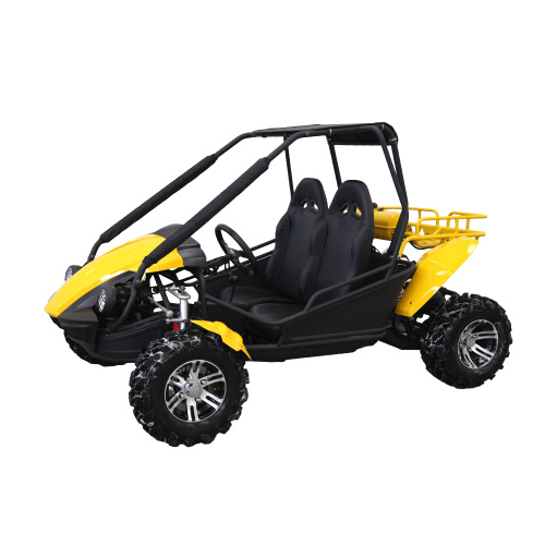 150cc Erwachsenen Quad Mini Dune Buggy 2 Sitzer