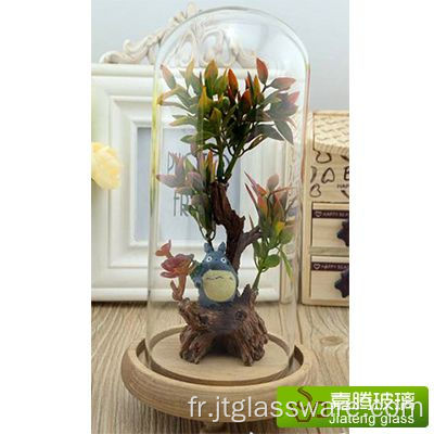 Vase de terrarium de pièce maîtresse de dôme en verre moderne