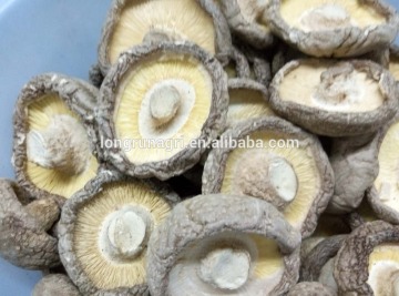 Well-Received Dried Smooth Lentinus Edode For French Restaurant