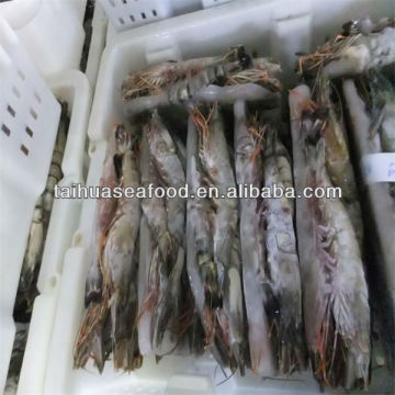 fresh prawn seafood meals