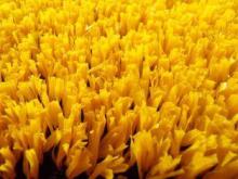 DecorationSynthetic Artificial Grass Polypropylene Fake Tur