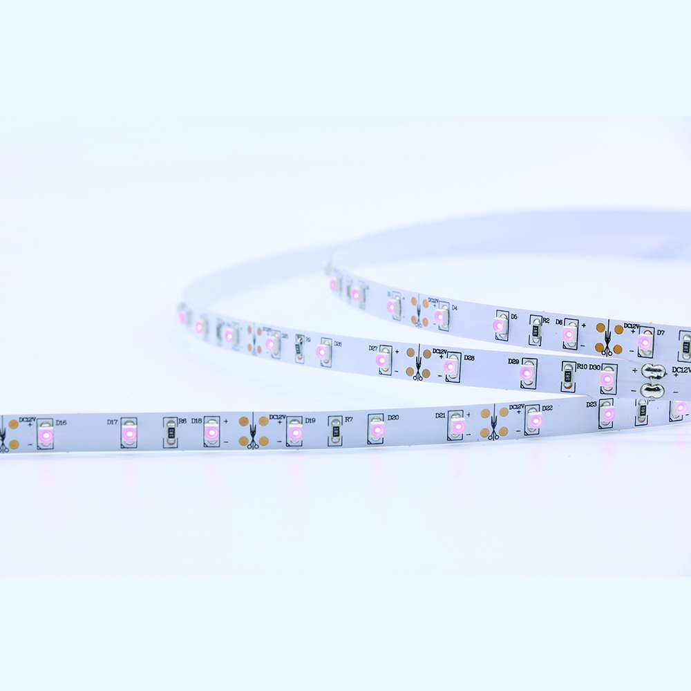 3528SMD الأرجواني 60led 4.8W أضواء الشريط