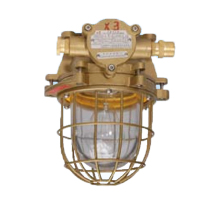 Ship Explosion-proof Brass Incandescent Pendant Llight