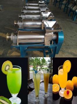 Fruit Juice Extractor