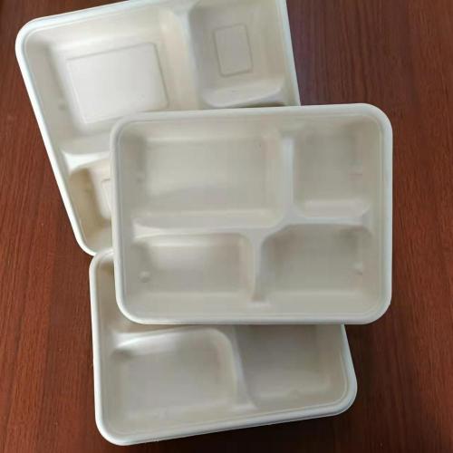 Biodegradable takeaway food packaging pizza hamburger bento meal fast food takeout pulp lunch bagasse sugarcane burger paper box