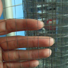 Galvanized Welded Wire Mesh