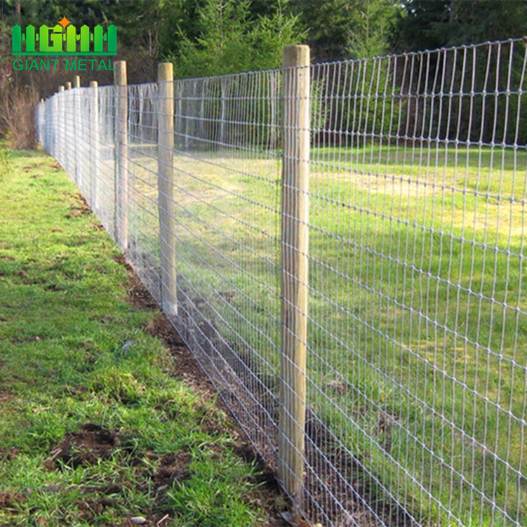 hot sale Strongest farm fence