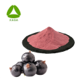 Blackcurrant Extreme Powder Natural Antioxidantes