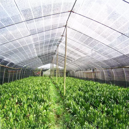 Neta de sombra de sol agrícola al aire libre al aire libre