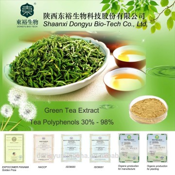 Organic Green Tea Extract, 95% tea polyphenols