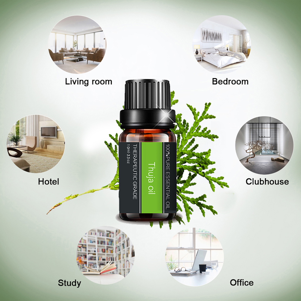 100%minyak esensial thuja murni untuk aromaterapi perawatan kulit