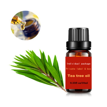 OEM tea tree essential oil
