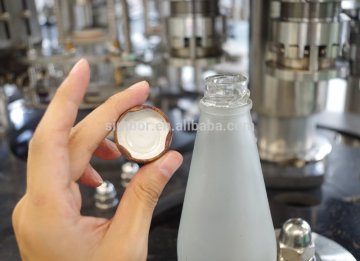 3in1 automatic glass bottle juice bottling plant