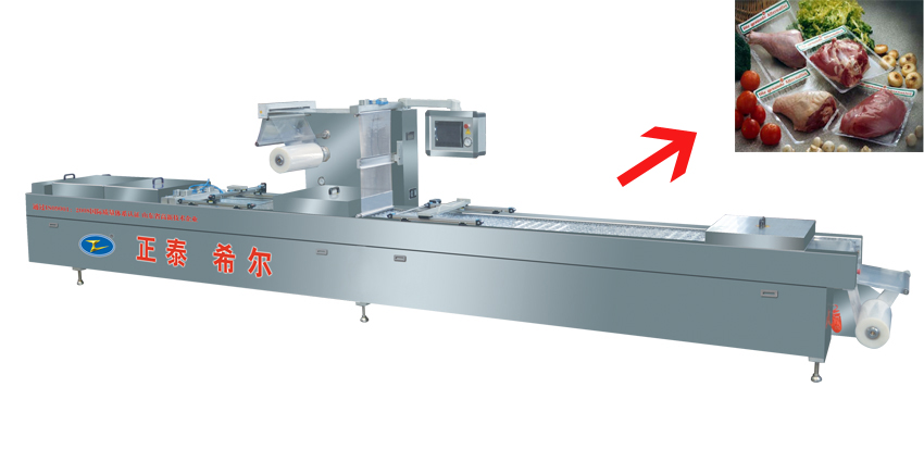 Leisure Food Automatic Vacuum Packing Machine