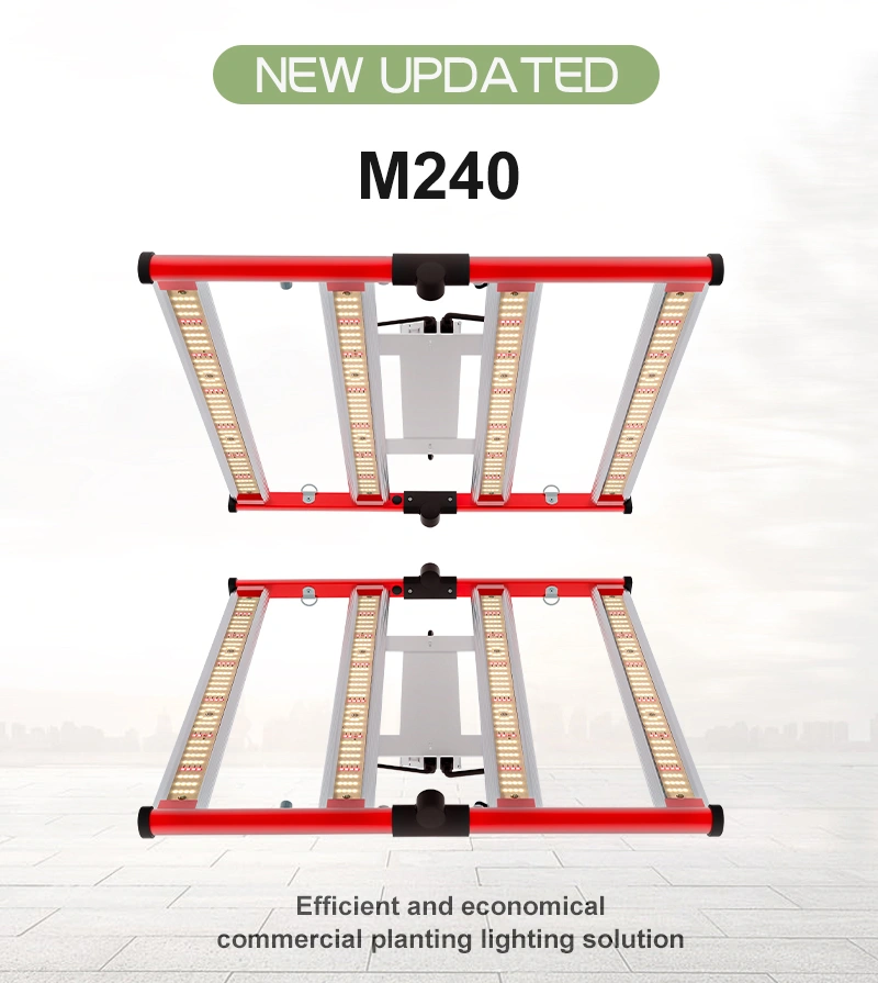 2022 Newest ETL Samsung Lm301b Lm301h Osram 800W 1000W Full