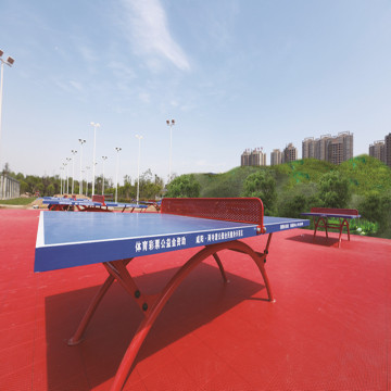 choix du jeu des jeunes ENLIO sol PVC pour tennis de table