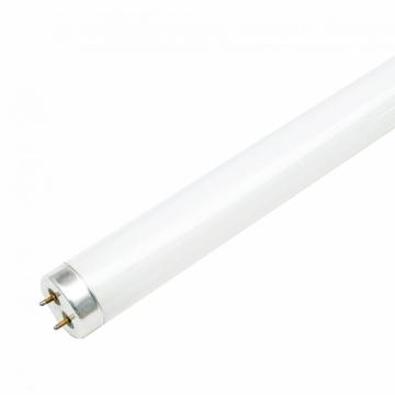 Lampada fluorescente a tubo dritto standard T8