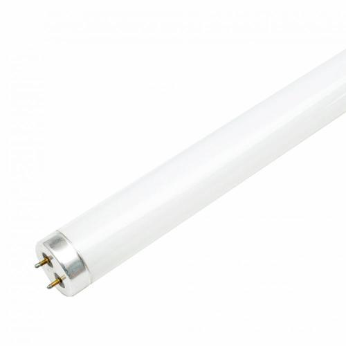 Tubo para lâmpada fluorescente T8 24 &quot;uvb