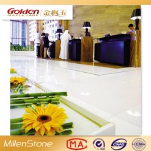 Crystallized Wite Glass Panel