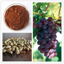 Grape Seed Extract Proanthocyanidins/OPC