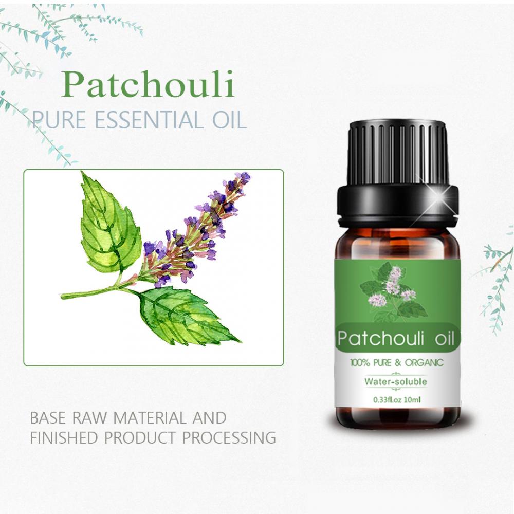 Aromathérapie patchouli huile essentielle de qualité thérapeutique