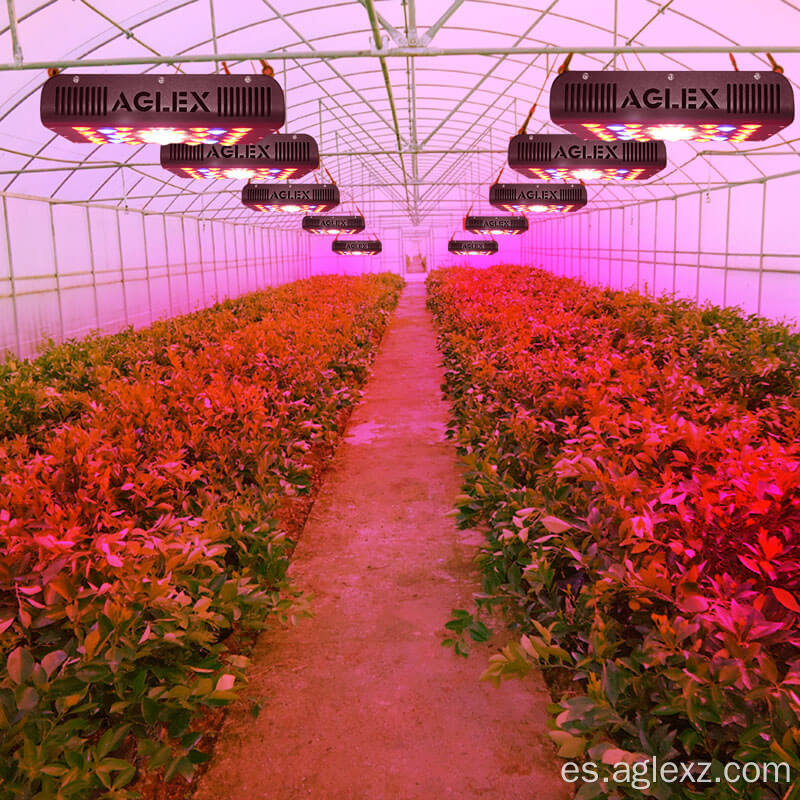 Luz de cultivo LED de espectro rojo para flor