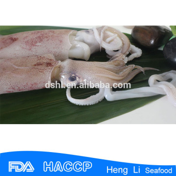 Frozen illex argentinus