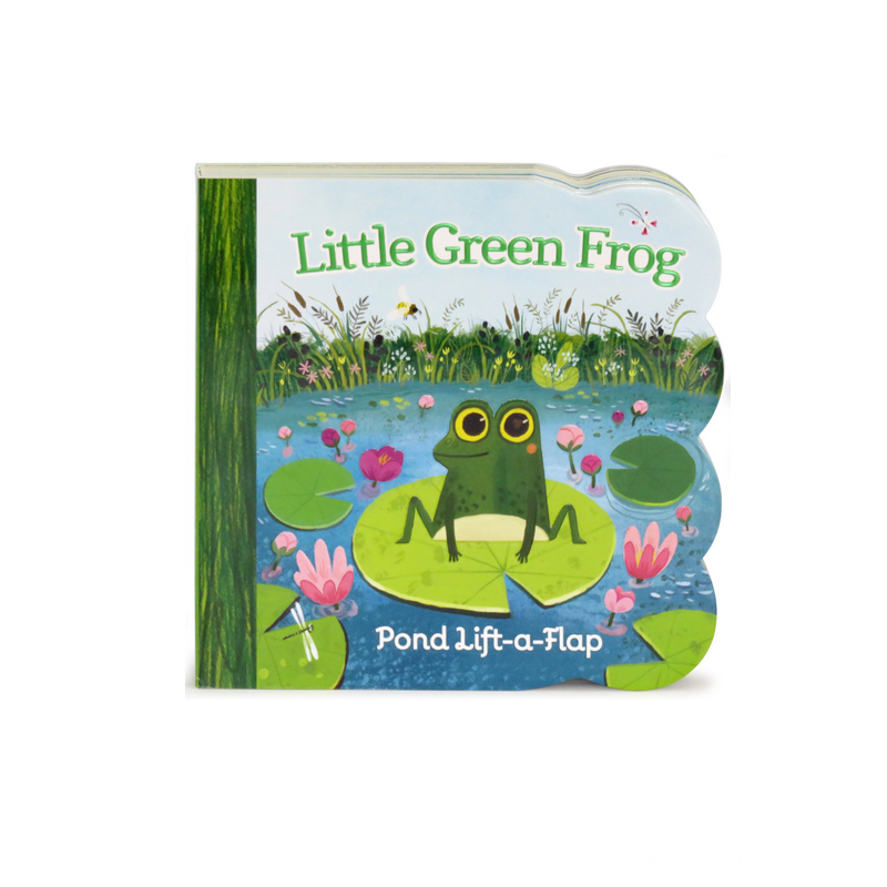 Content Print Children Flap Board Book