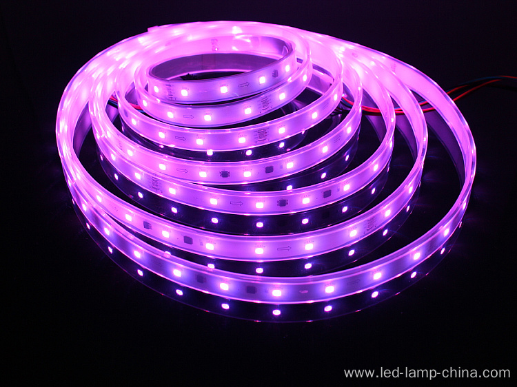 Programmable IC Constant Current LED Strip Light