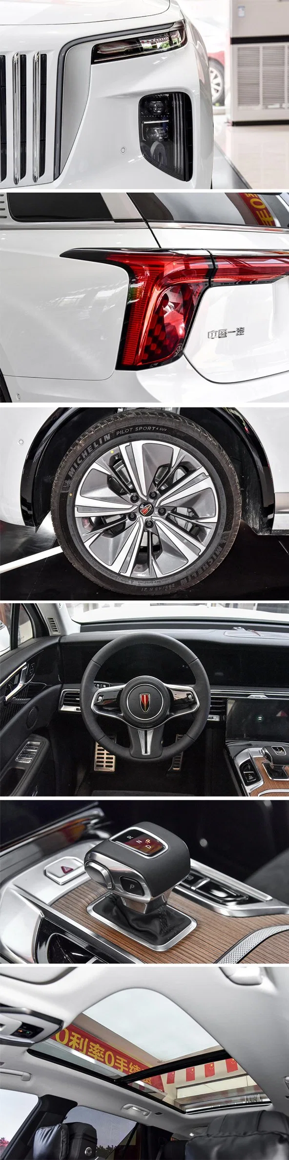 Ridever Pure Electric SUV 510km 660km 690km Cruising Range Hongqi Red Flag E-HS9 Electric Cars