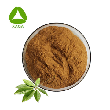 Extrait de châtaignier Escin Powder CAS 6805-41-0 Natural