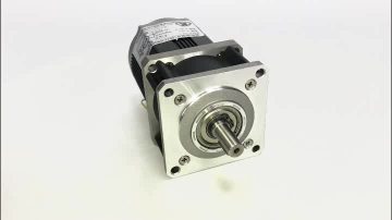 220V 55mm small gear motors ac