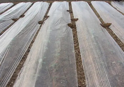 Çim büyümesini önlemek için tarım için biyolojik olarak parçalanabilir malçlama filmi