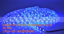 Shenzhen Blue Household LED Strip Supplier