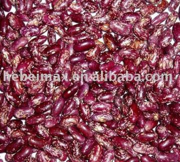 purple speckled kidney bean