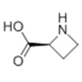 （Ｓ） - （ - ） -  ２−アゼチジンカルボン酸ＣＡＳ ２１３３−３４−８