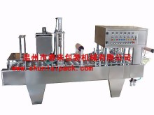 Automatic Automatic Grade and New Condition automatic plastic cup counting & packing machine