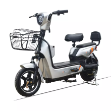 Yama Factory OEM Custom Electric Bike with 350w 48v 12ah Lead Acid Battery