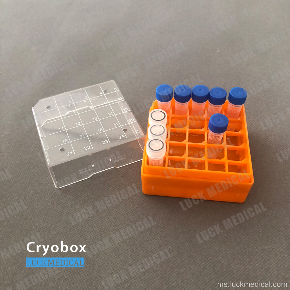 5x5 25 Tempat Cryotube Box Eksport ke Sepanyol