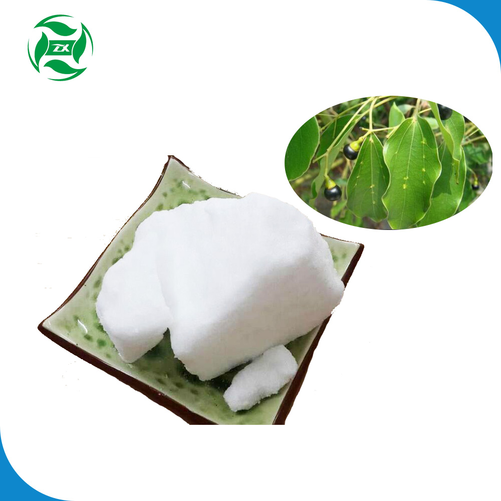 Venta al por mayor Bulk Pure Natural Camphor