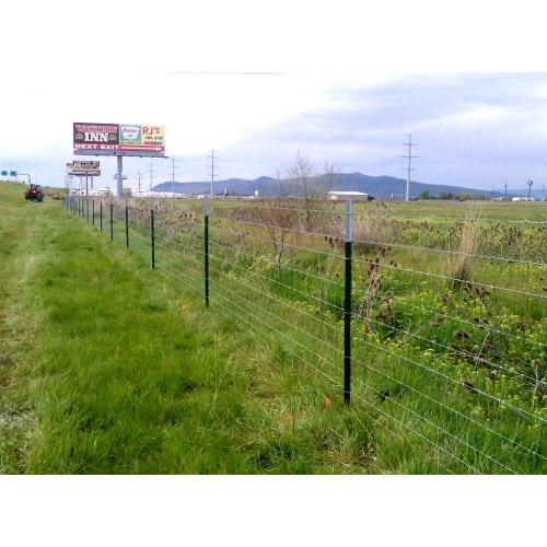 steel Farm filed fence hinge joint cattle fence