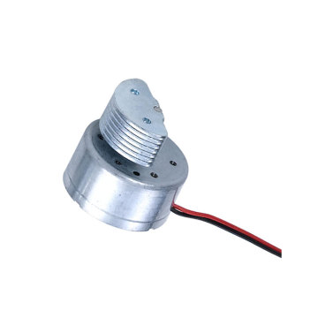 1800RPM 3V DC Micro Vibration Motor for massager