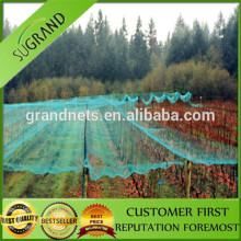 pe anti bird nets for catching bird , capture bird