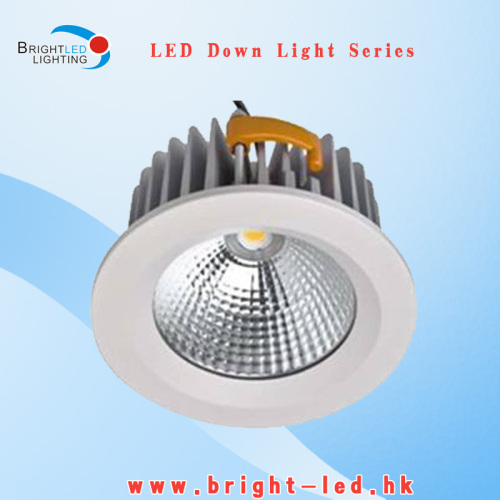30W LED Downlight with CE RoHS