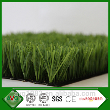 Football Stadium Grass