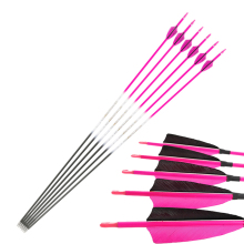 Carbon Shaft Compound and Recurve Bows for Hunting and Archery - Pinals Archery