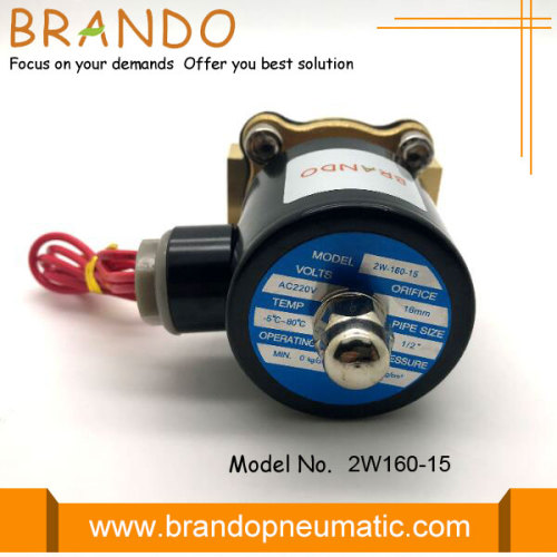 220V AC 2W160-15 Solenoid Vanalar