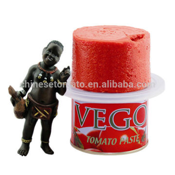 China tomato paste in sauce