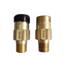 REGO 1/2\" LP Gas Pipeline Steel Cylinder Threaded Safety Relief Valve 3129G 250psi